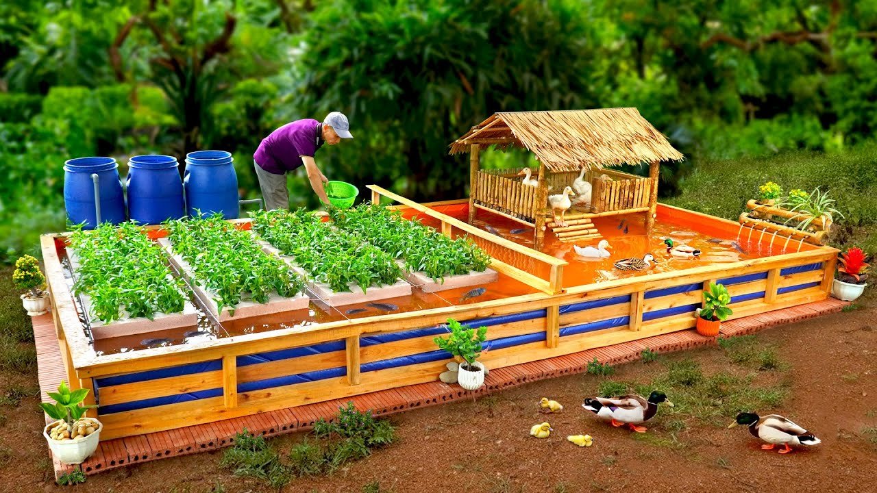Transform Your Garden: Backyard Aquaponics in Arcata