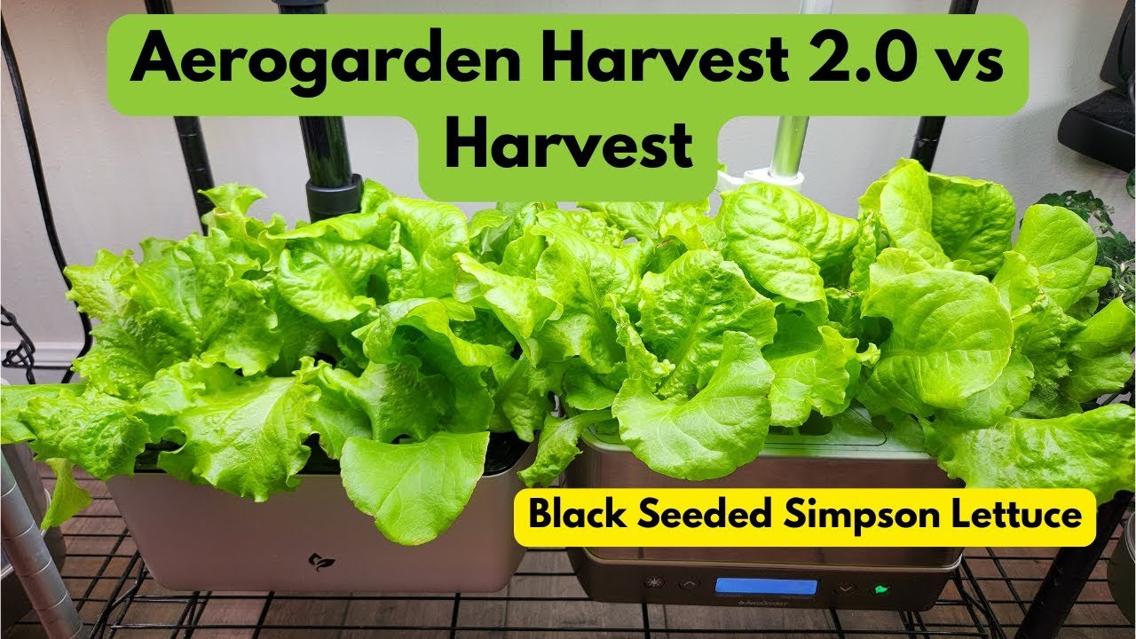 Unlock Your Potential with Free Hydroponics Training Options