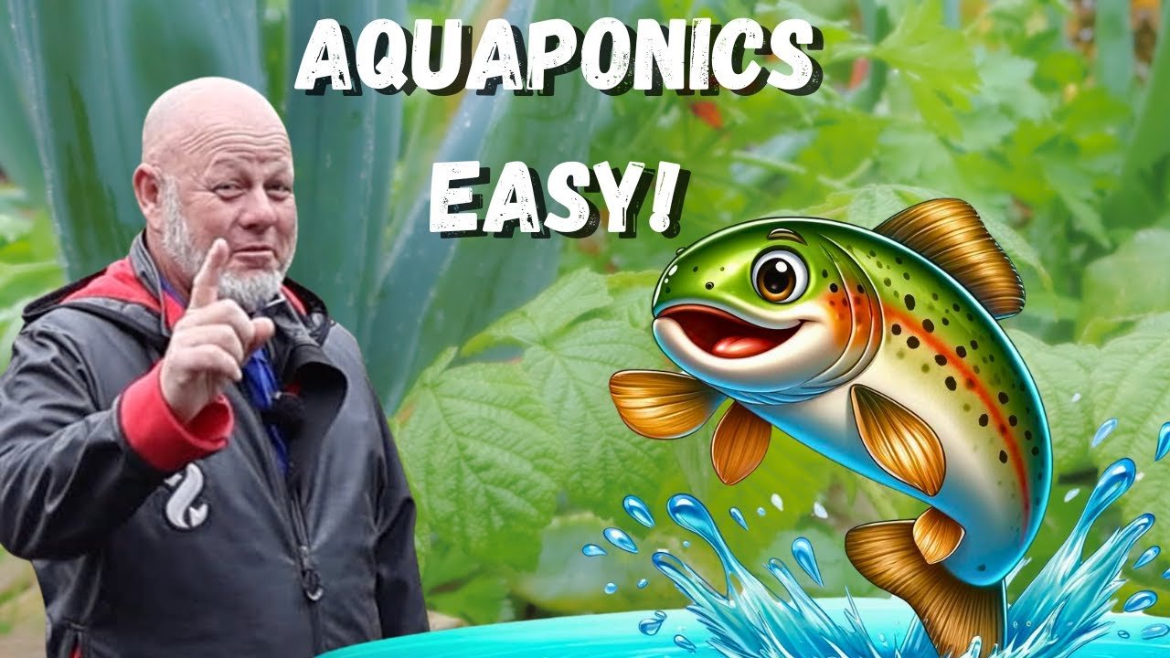 Create Your Own DIY Aquaponics System in Alamosa Today!
