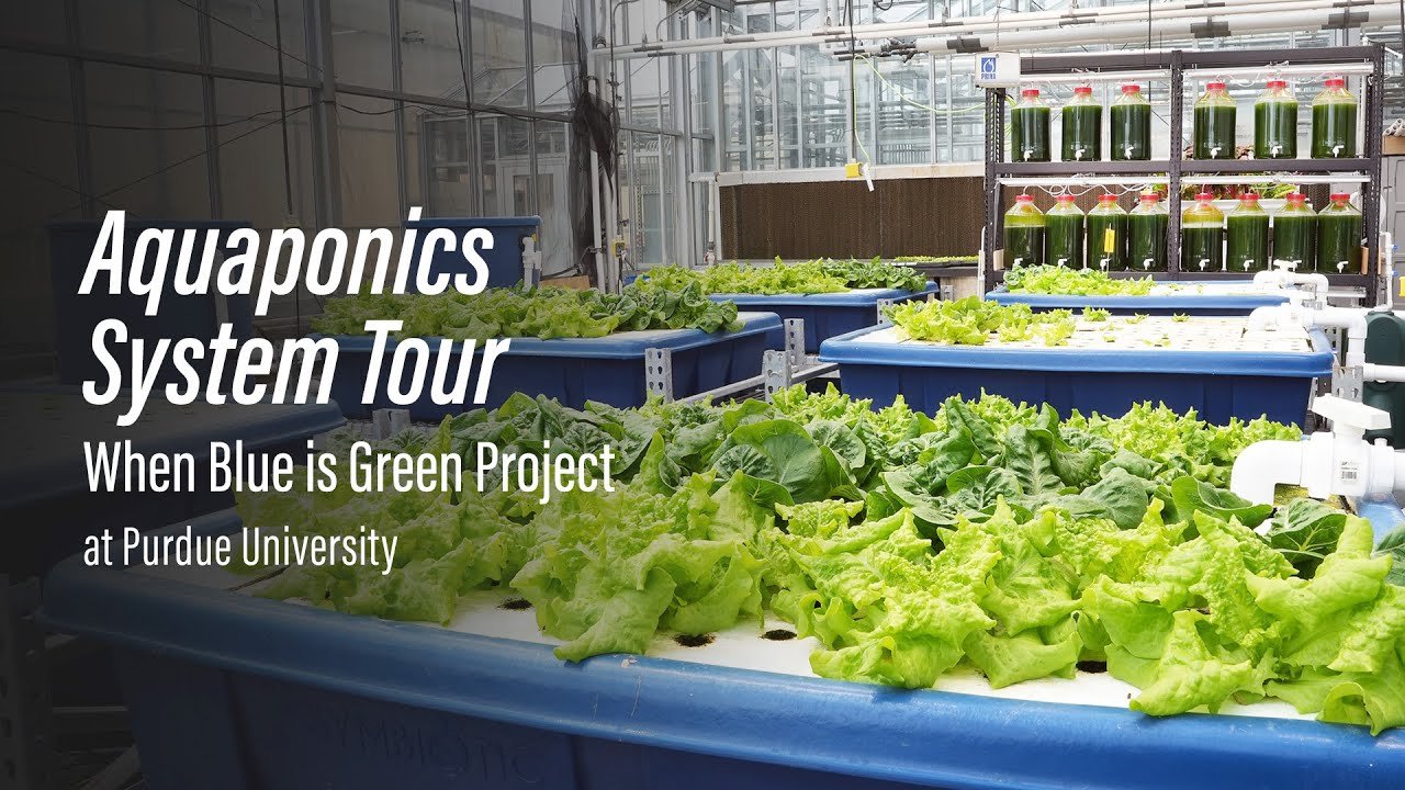 Sustainable Gardening Tips for Thriving in Stillwater’s Climate