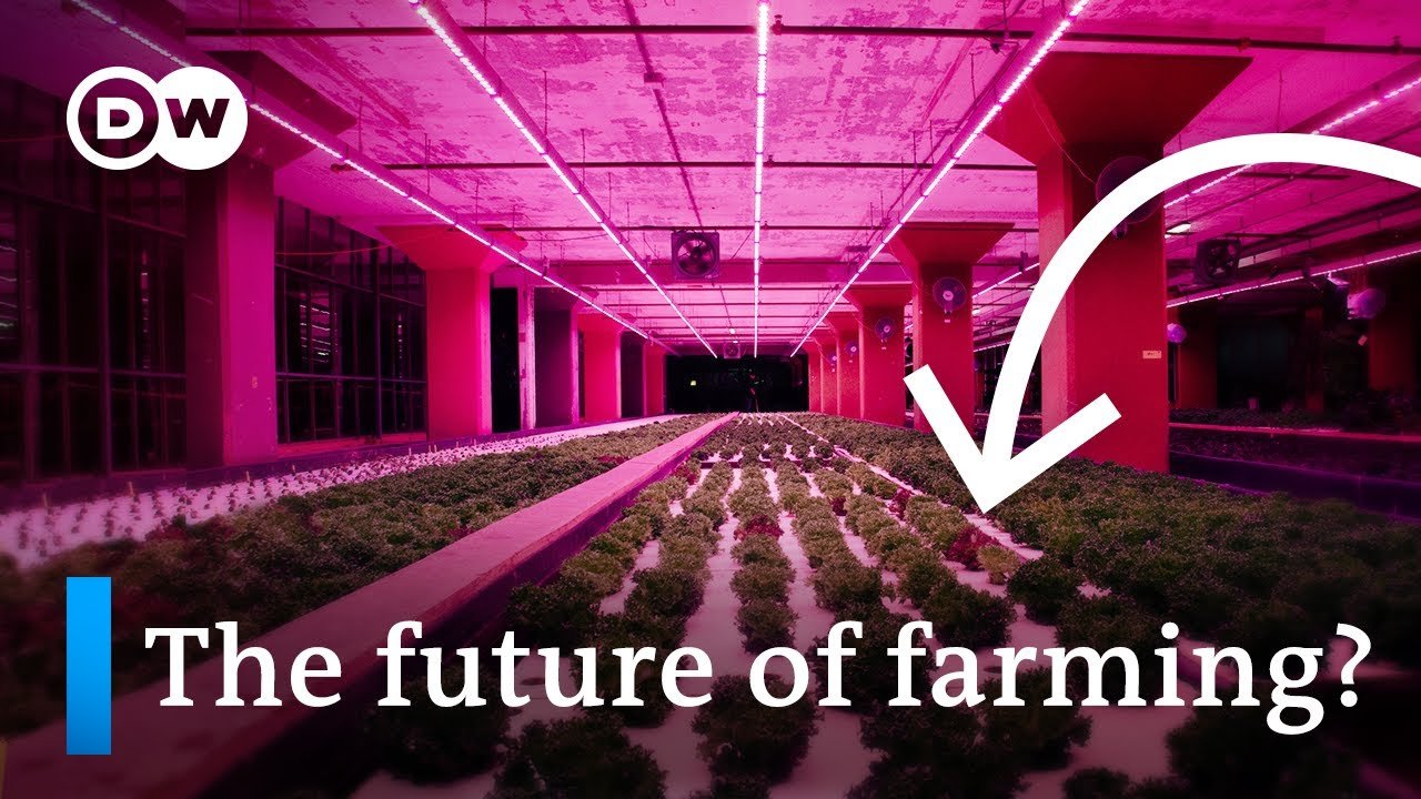 Build Your Own DIY Aquaponics System in Pullman: A Step-by-Step Guide