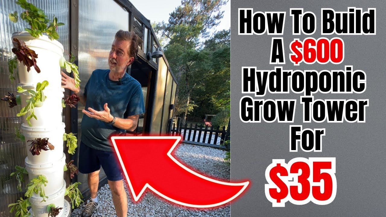 Mastering EC Reading in Hydroponics for Thriving Plants