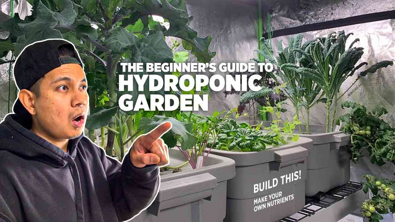 Optimize Your Hydroponics with Advanced pH Down Solutions