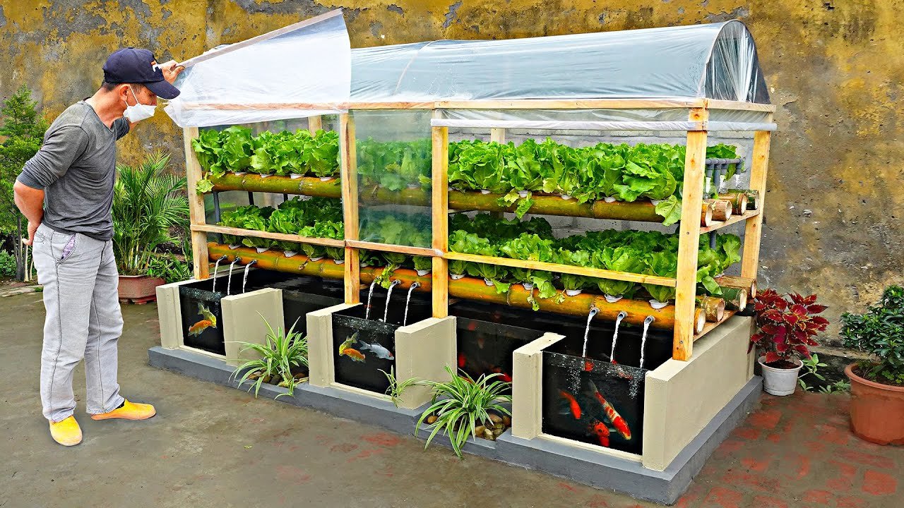 Ultimate Guide to Backyard Aquaponics in Vermillion for Beginners