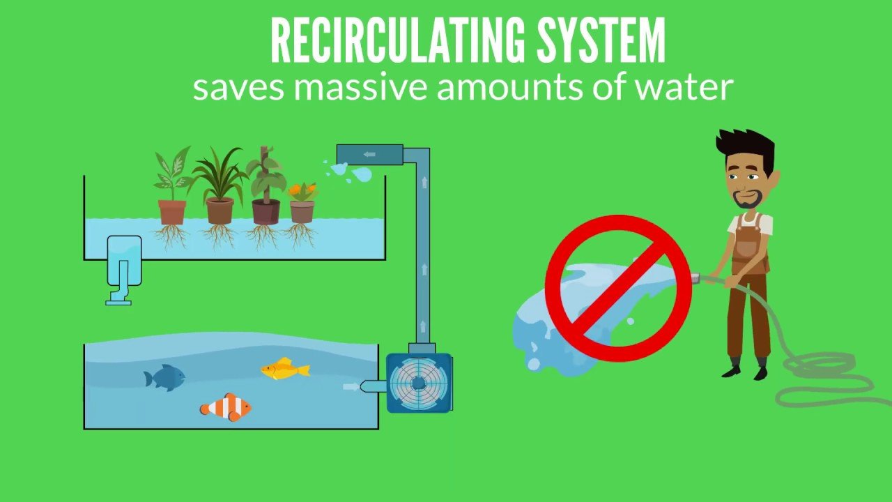 Top Aquaponics Training Near Decorah for Sustainable Farming
