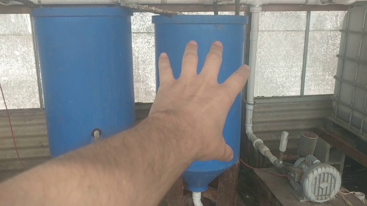 Ultimate Guide to Aquaponics for Beginners in Spearfish