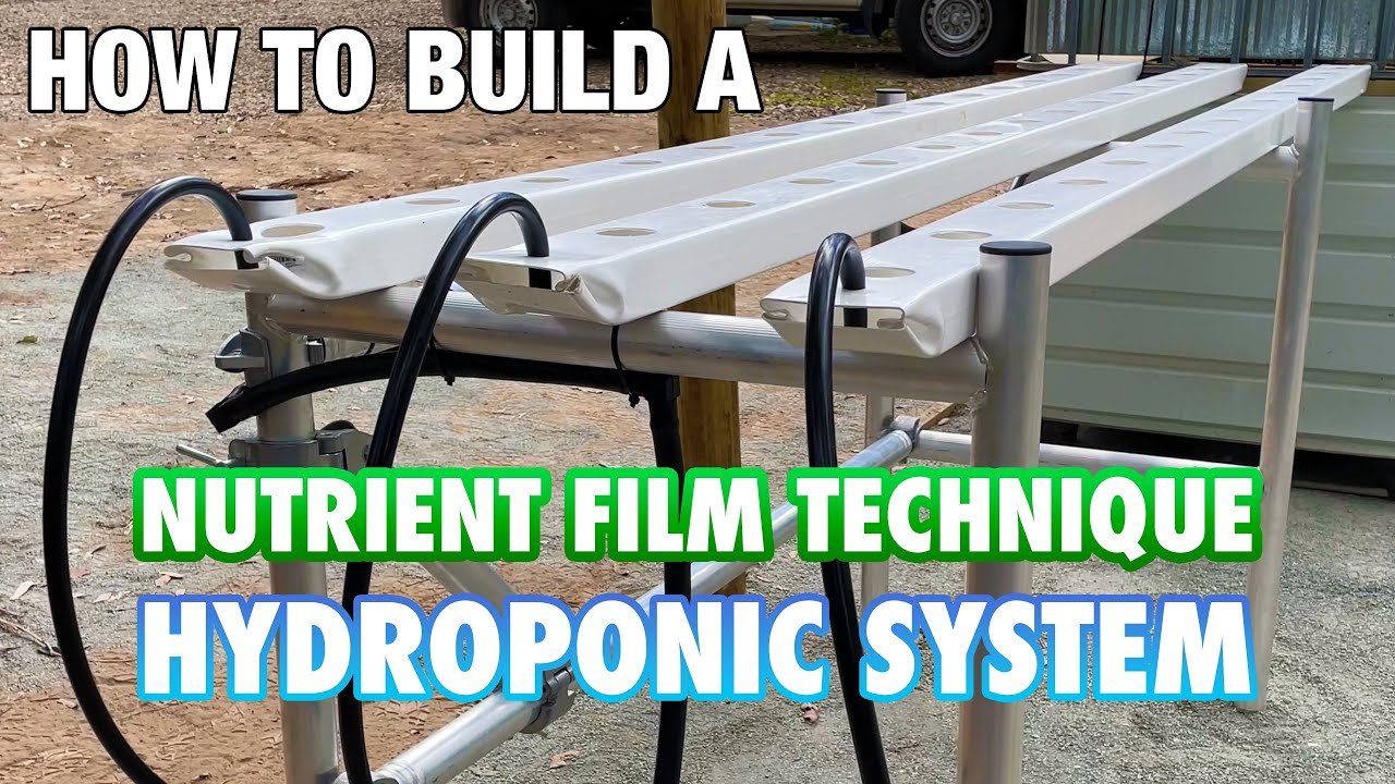How to Create a DIY Hydroponics System Using Rain Gutters