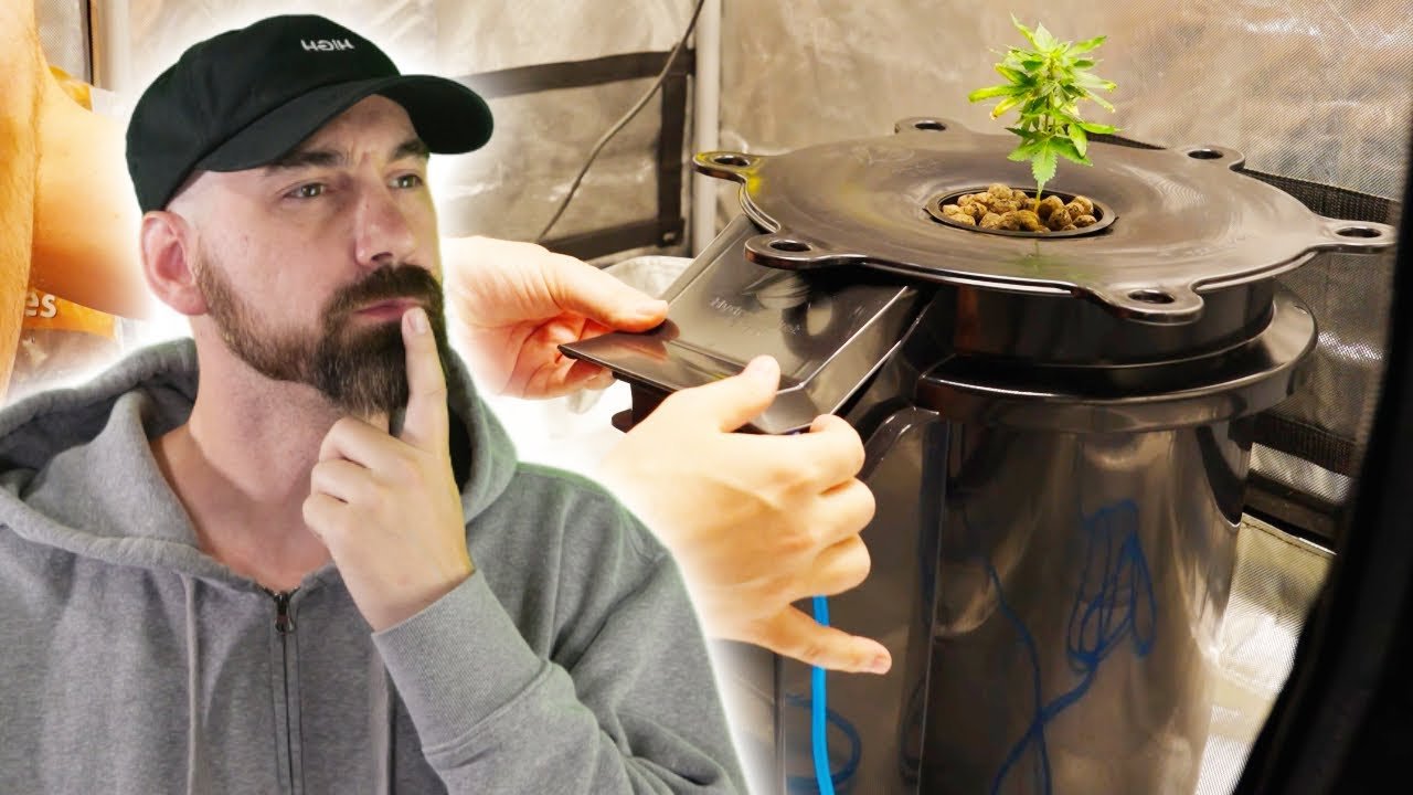 Unlocking the Benefits of Duncan Hydroponics for Thriving Gardens