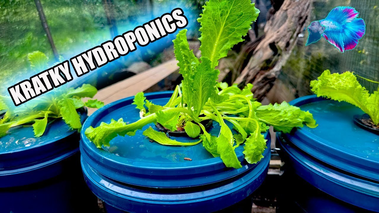 Grow Fresh Herbs at Home with the Garden Jar Hydroponic Herb Kit
