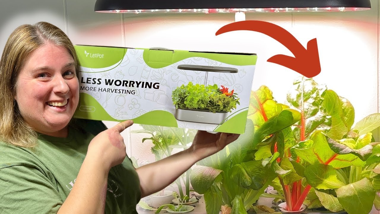 The Best Materials for Hydroponics: A Complete Guide for Success