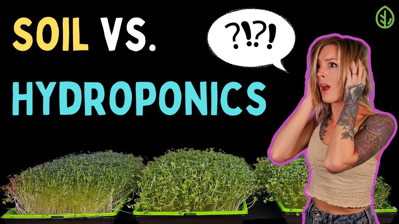 Creating a Stunning Fish Tank with Hydroponics: A Complete Guide