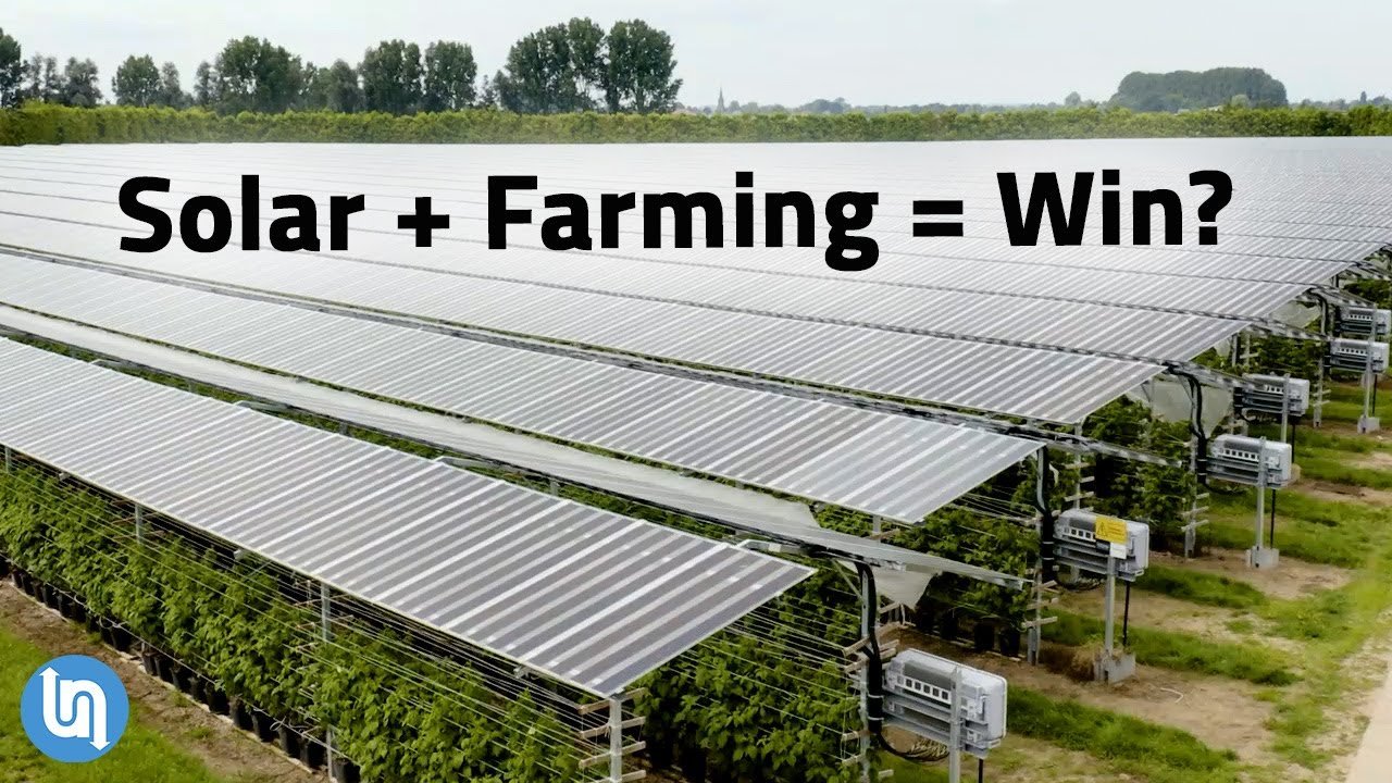 Top Aquaponics Setup Ideas for Stillwater: Create Your Perfect System