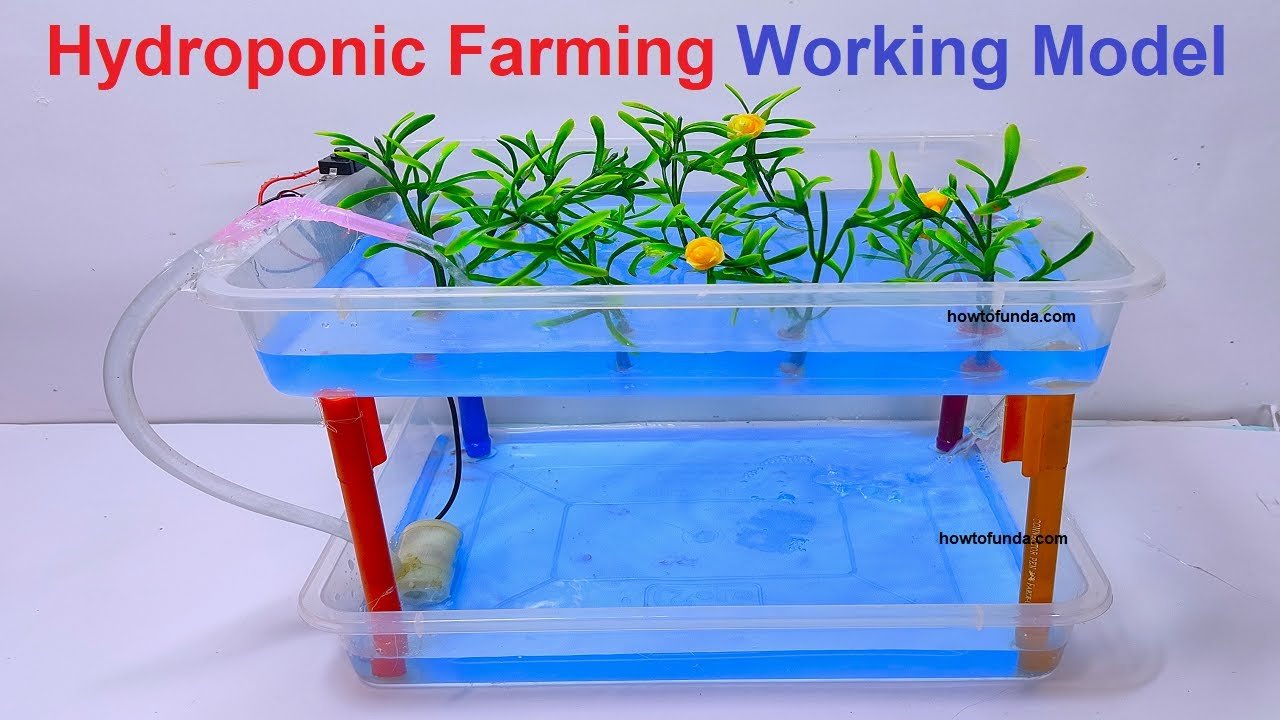 Britelite Hydroponics: Revolutionizing Indoor Gardening Techniques