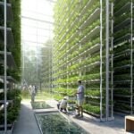 Ultimate Guide to the Best Aquaponics Setup for Austin Gardens