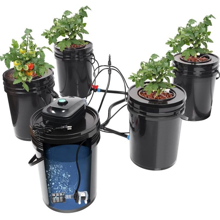 Embrace Sustainable Gardening in Fayetteville: Tips for Eco-Friendly Living