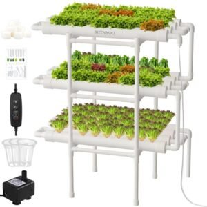 Enhance Your Garden with Backyard Aquaponics in Gainesville