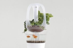 Guide to Indoor Aquaponics Systems in Orlando: Tips and Benefits