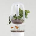 Ultimate Guide to Indoor Aquaponics Systems in Eugene