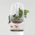 Ultimate Guide to Indoor Aquaponics Systems in Phoenix