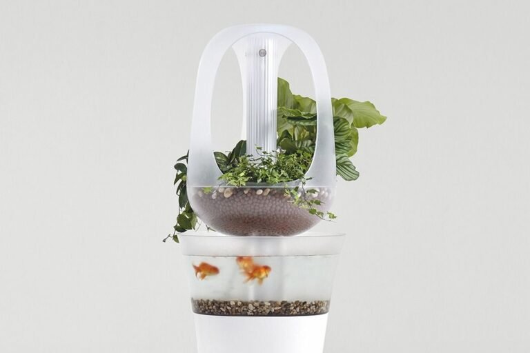 Top Indoor Aquaponics Systems to Try in Asheville: A Complete Guide