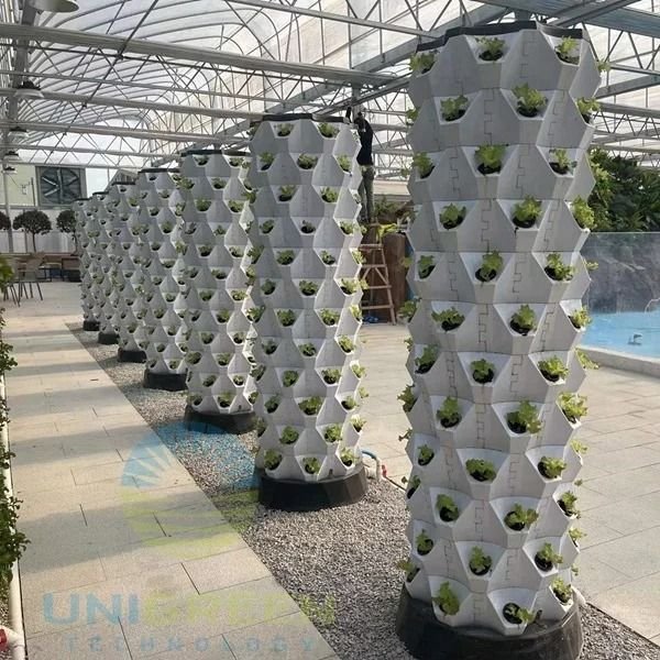 Ultimate Guide to Backyard Aquaponics in Athens for Home Gardeners