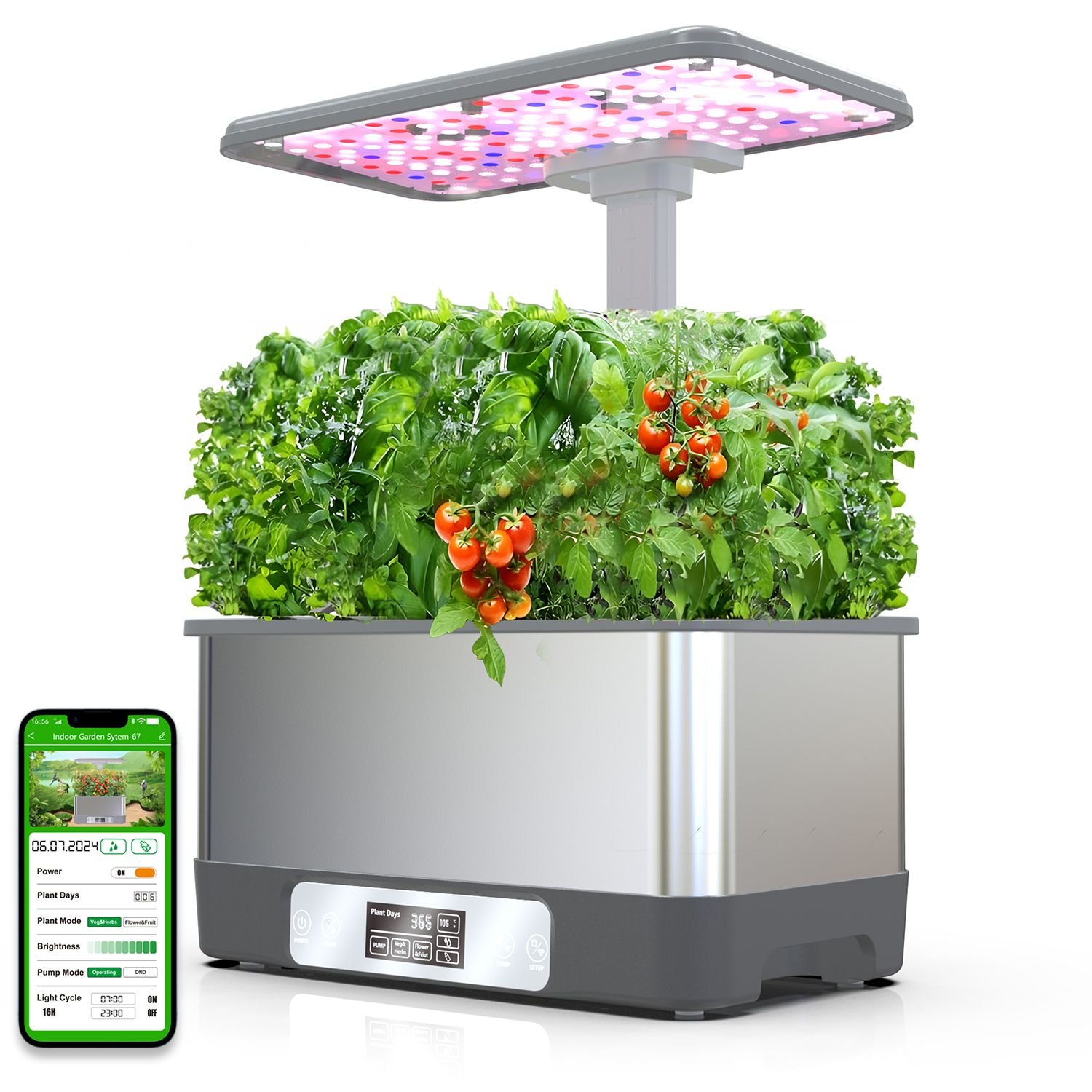 Create Your Own DIY Aquaponics System in Lancaster