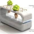 Exploring Aquaponics Farming in Montana: A Sustainable Future