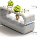 Create Your Own DIY Aquaponics System in Eugene Today!