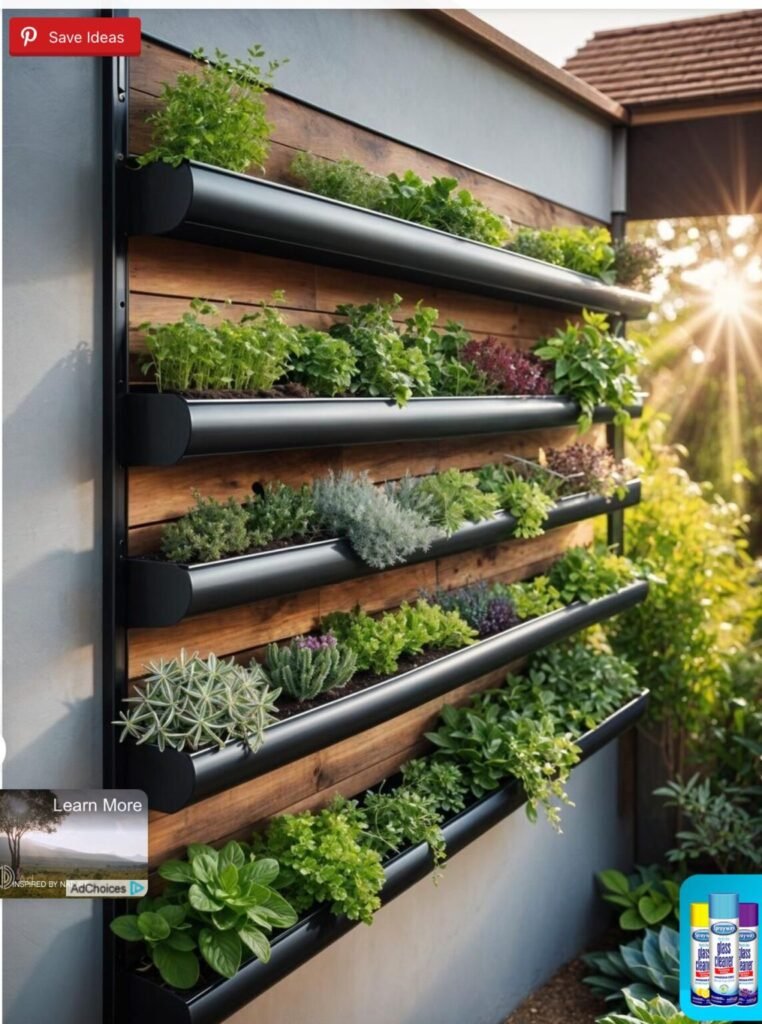Top Aquaponics Setup for Athens: Complete Guide to Success