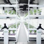 Top Aquaponics Training Near Durango: Enhance Your Skills Today