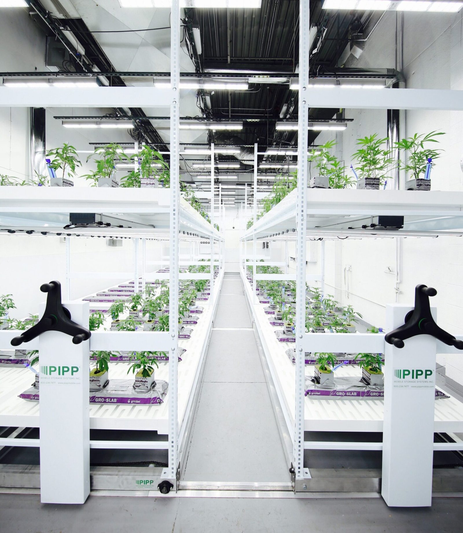 Transform Your Garden with Backyard Aquaponics in Boulder