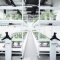 Exploring Aquaponics in New York: A Sustainable Urban Farming Guide