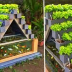 Top Aquaponics Setup Ideas for Lawrence: Grow Fresh Food Sustainability