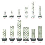 Transform Your Home with an Indoor Aquaponics System in Spokane