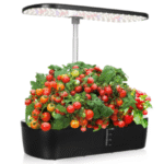 Top Aquaponics Training Near Chico: Grow Sustainable Food Today