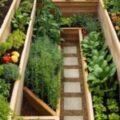 Top Aquaponics Setup for Fayetteville: Your Complete Guide