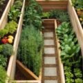 Top Tips for the Best Aquaponics Setup in Gainesville