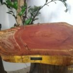 Exploring Arizona Hardwoods & Top Woodworking Machinery Options